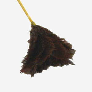 feather duster